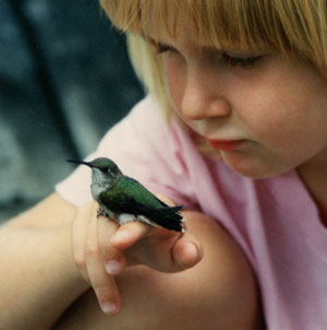 Anna Bea with Baby Hummingbird